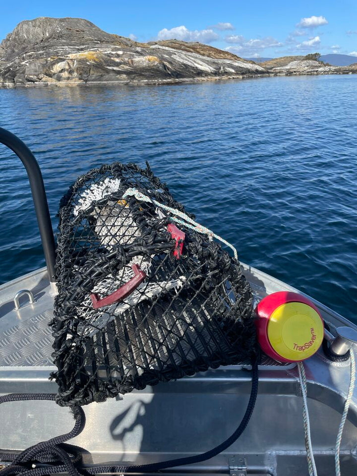 Hvert år mister fiskerinæringen verden over enorme mengder redskap.