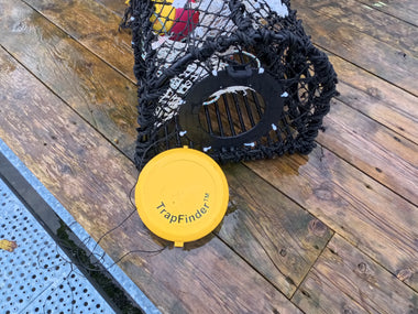 TrapFinder_on_trap_released