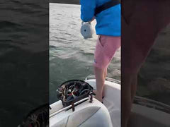 SnurreSniken™ Ekstrem  – Enkel og effektiv til havfiske